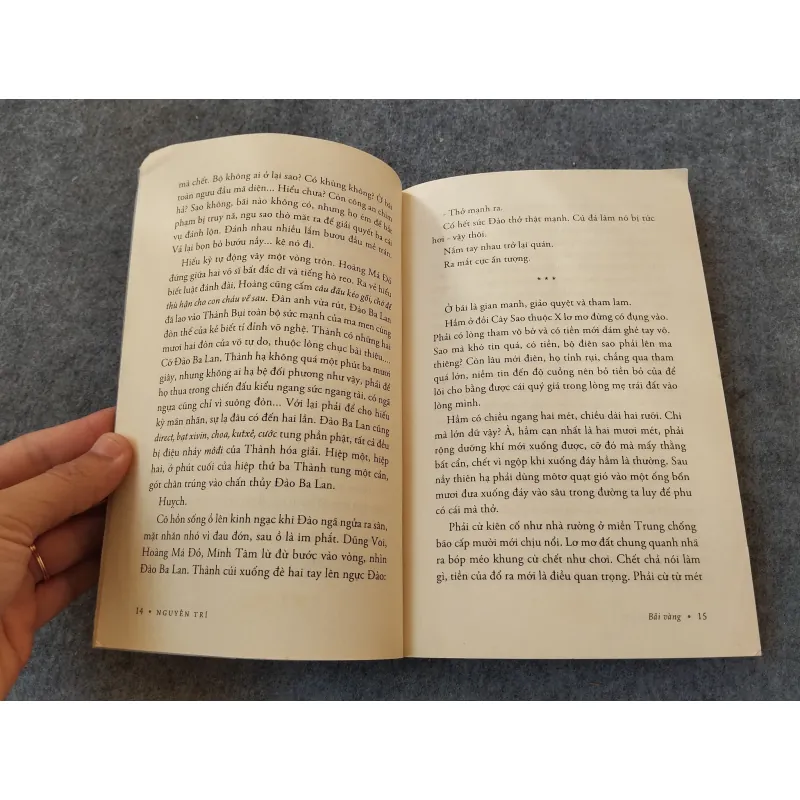 BÃI VÀNG, ĐÁ QUÝ, TRẦM HƯƠNG - NGUYỄN TRÍ 719999