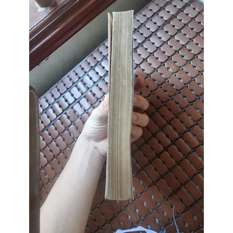 Cuộc kháng chiến chống Nguyên Mông thế kỷ XIII 557776