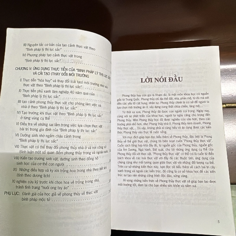Phong thủy thực vật  456151