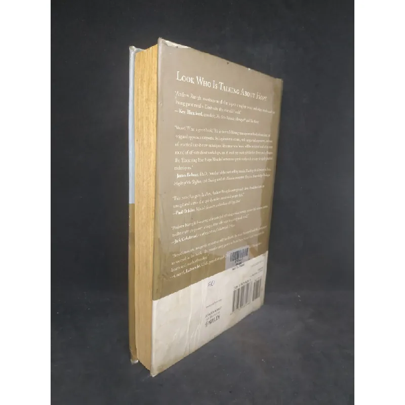 [Phiên Chợ Sách Cũ] Hope - how Triumphant leaders create the future 2303 413933