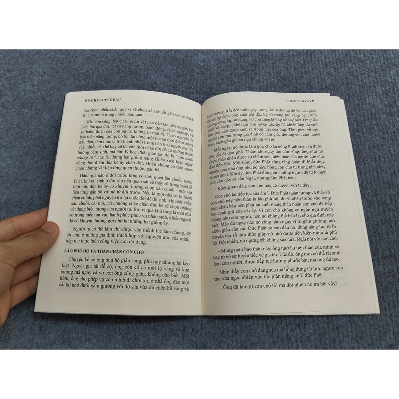 CHẾT ĐI VỀ ĐÂU 494933
