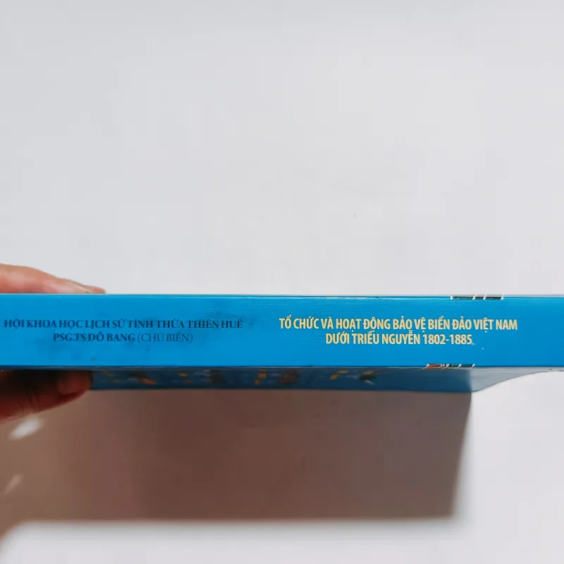 Tổ Chức Và Hoạt Động Bảo Vệ Biển Đảo Việt Nam Dưới Triều Nguyễn 1802 - 1885 
 797289