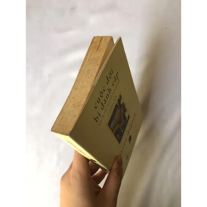 Cuộc Đời Bị Đánh Cắp - Jaycee Dugard 740749