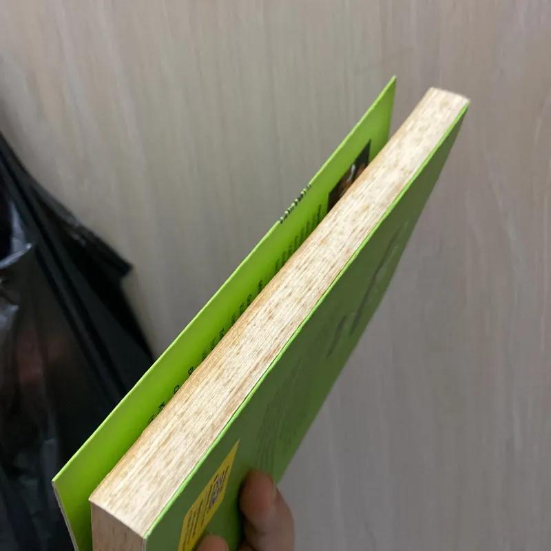 Ngọc của Sài Gòn - Nguyễn Thị Minh Ngọc 970293