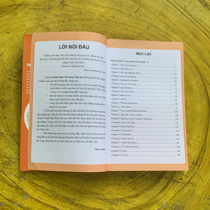 ĐÁNH THỨC TÀI NĂNG TOÁN HỌC 04 từ 10-12 tuổi 748162