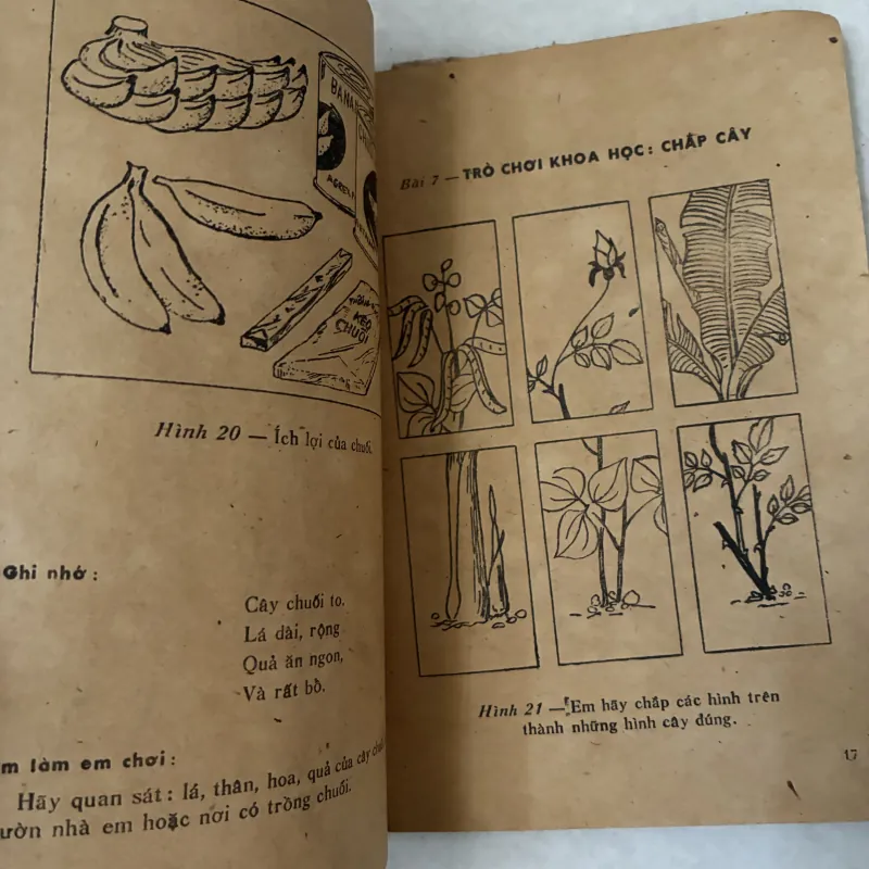 Tìm hiểu khoa học 1046902