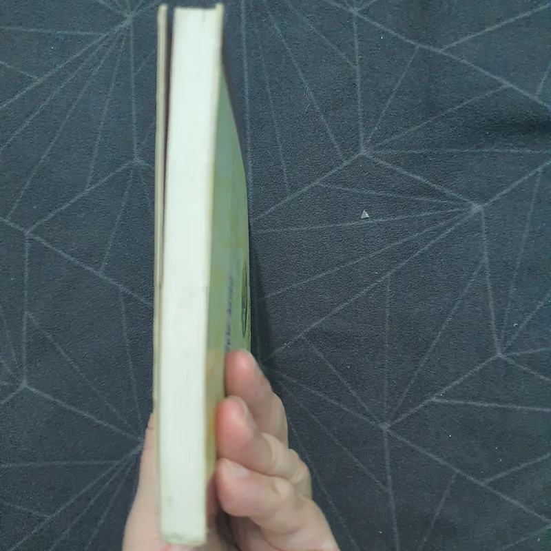 "Giọt lệ tương tư" - Quỳnh Dao 577847