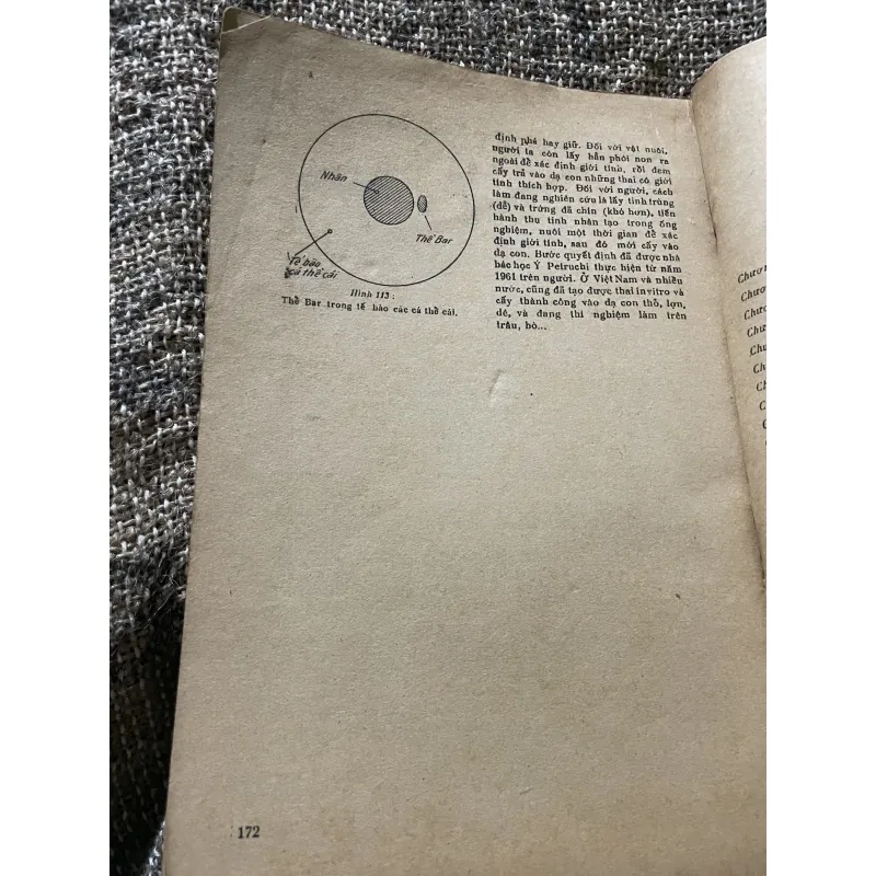 Sinh lý động vật và người - LÊ QUANG LONG - sách khổ lớn  1009294