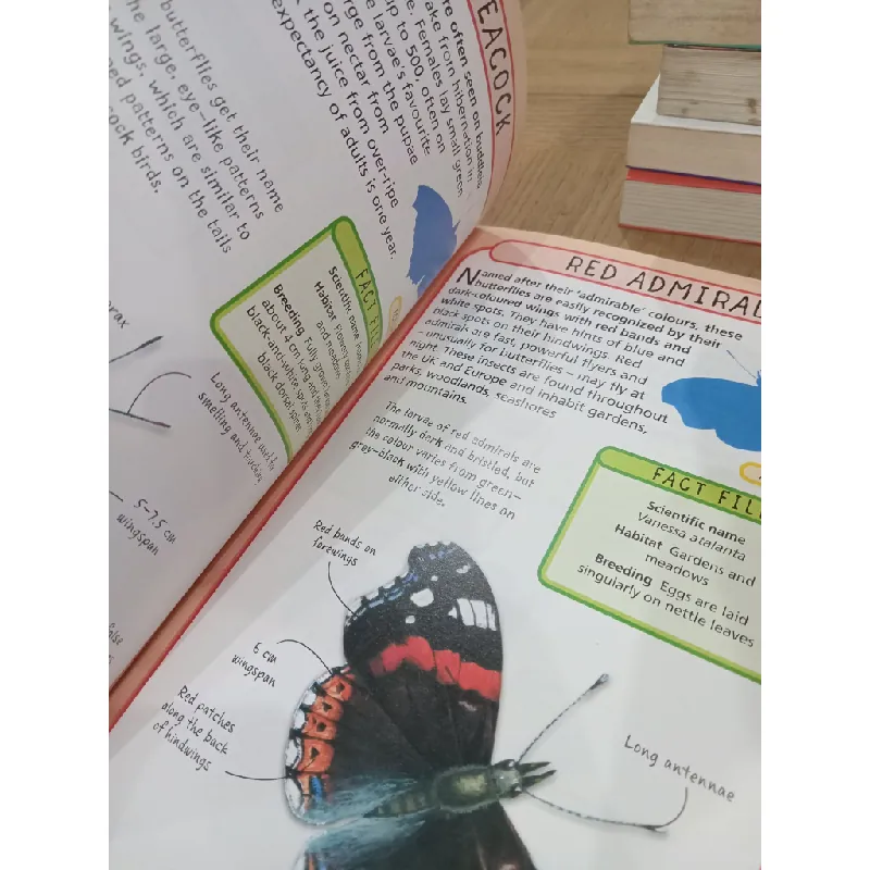 Spot 50 insects: How to identify 50 species 681973