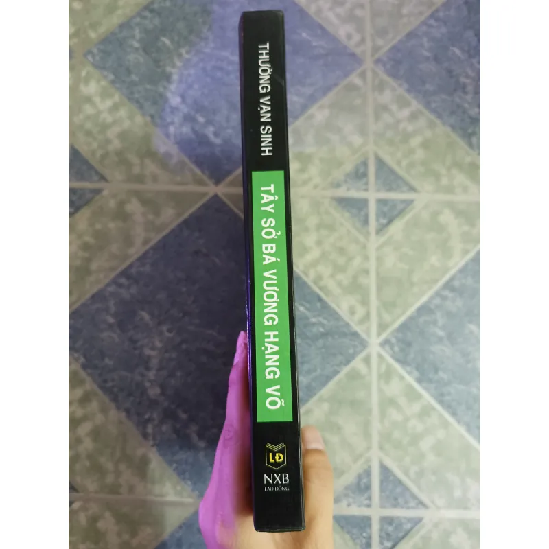 Tây Sở Bá Vương hạng Võ - Thường Vạn Sinh 598313