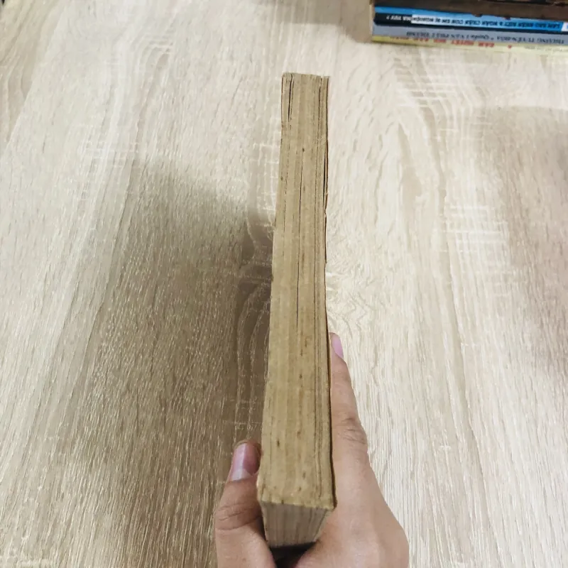 THƠ TRỮ TÌNH  928993