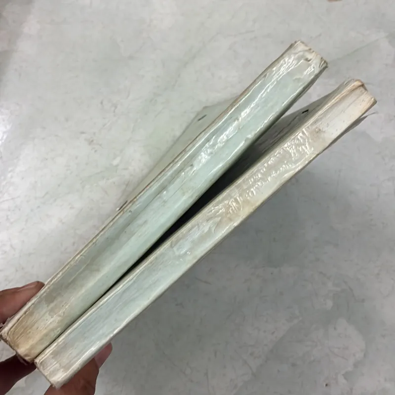 Luyện dịch Việt Anh /Báo chí Tiếng Anh (2 cuốn) 1005337