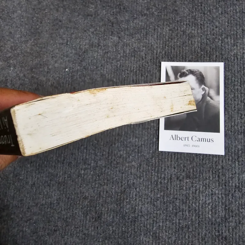 Chuyện tình giai nhân - trương ái linh 974579