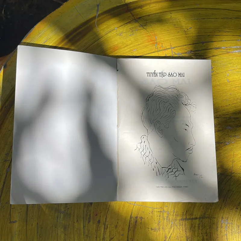 TUYỂN TẬP SAO MAI 735826