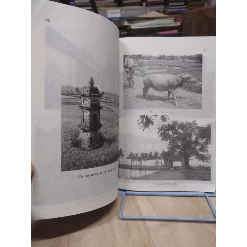 Sách: Mông Phụ một làng ở Đồng Bằng Sông Hồng - Chủ biên: Nguyễn Tùng (B2) 994362