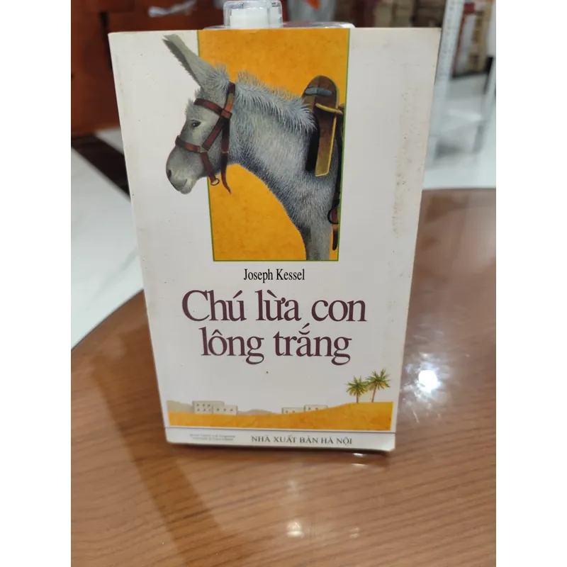 Chú lừa con lông trắng 589629