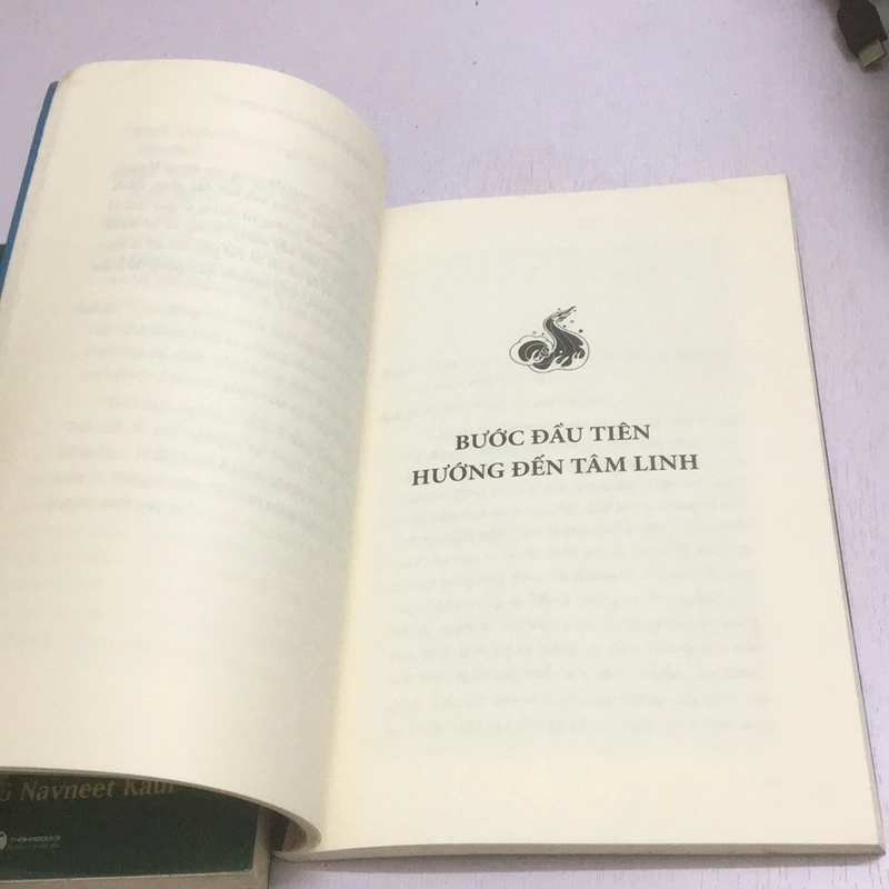 Tự chữa Lành - Đối thoại với MAHAVATAR BABAJI 525438