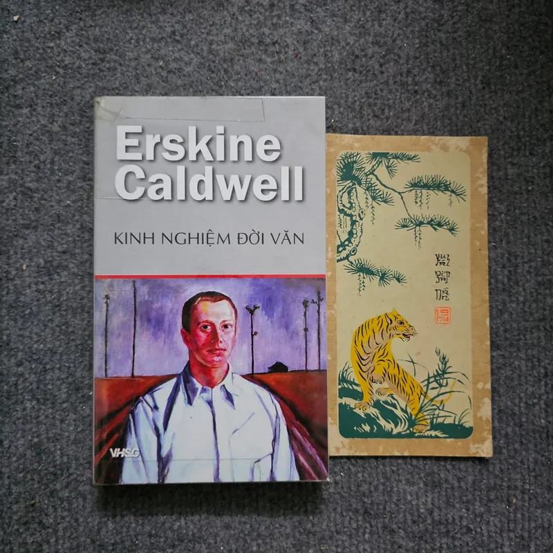 Kinh nghiệm đời văn 733948