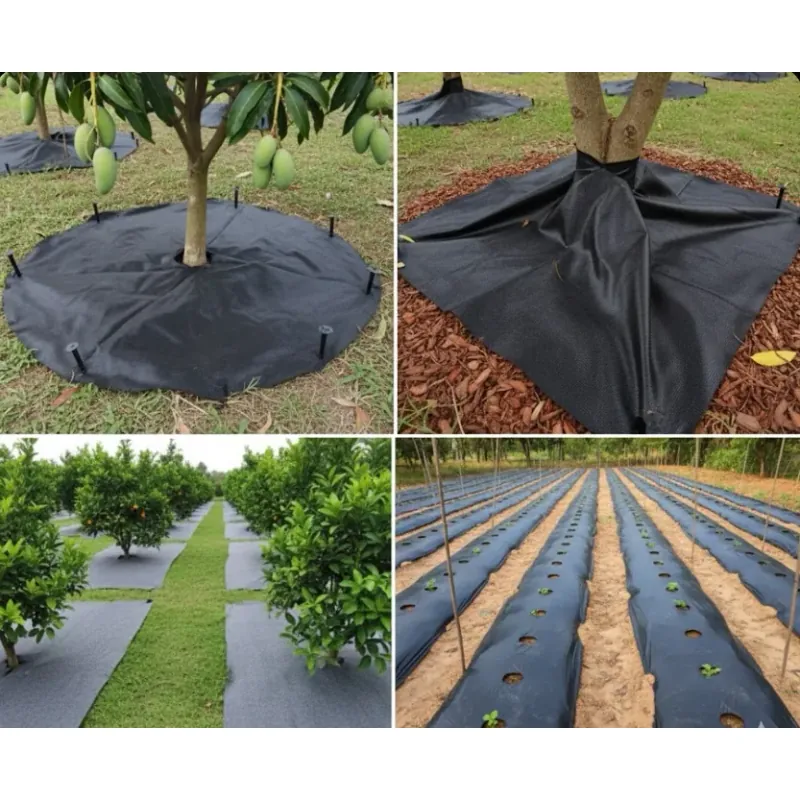 Bạt Phủ Cỏ Tại Núi Thành – Chống Cỏ Dại 100%, Bền 3–5 Năm 716483