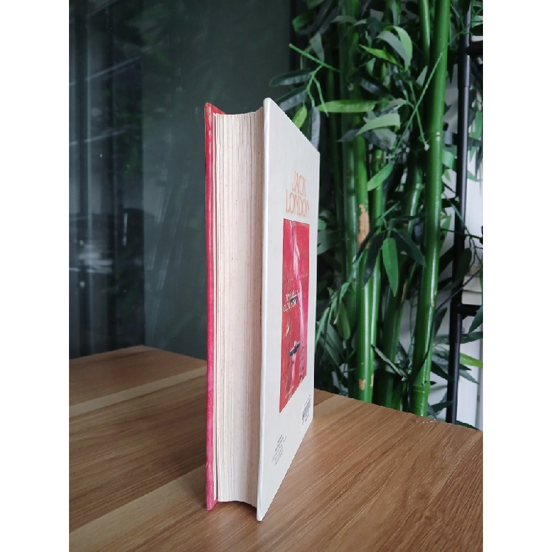 Tình Yêu Cuộc Sống – Jack London 550537