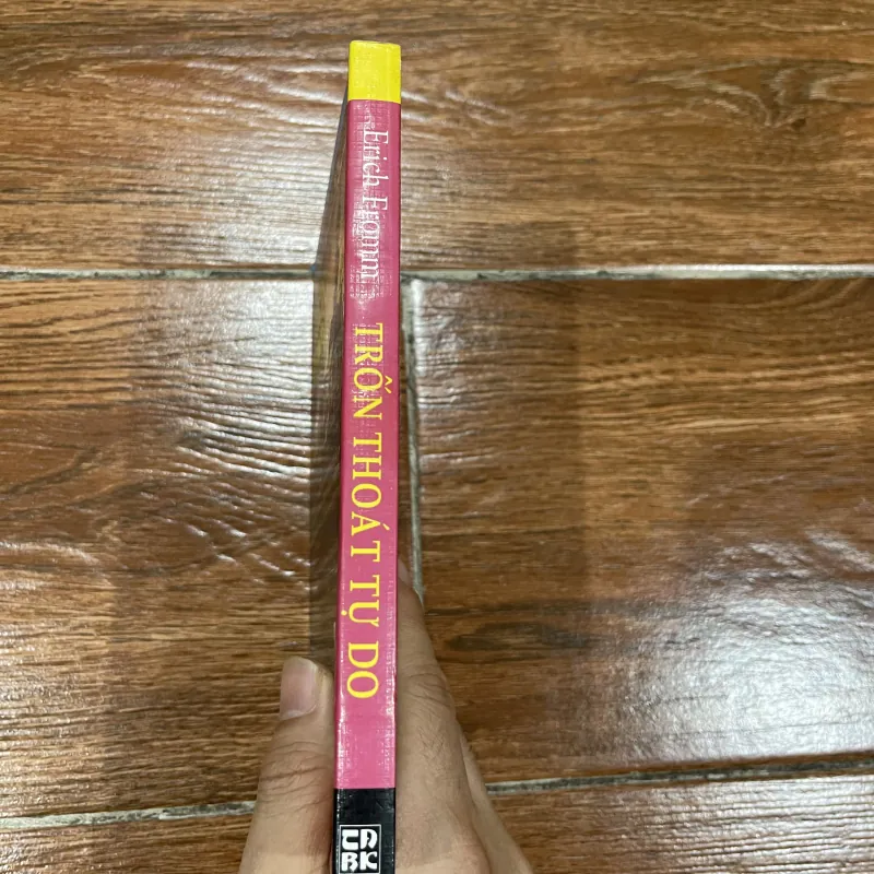 Trốn Thoát Tự Do - Erich Fromm (15) 1031659