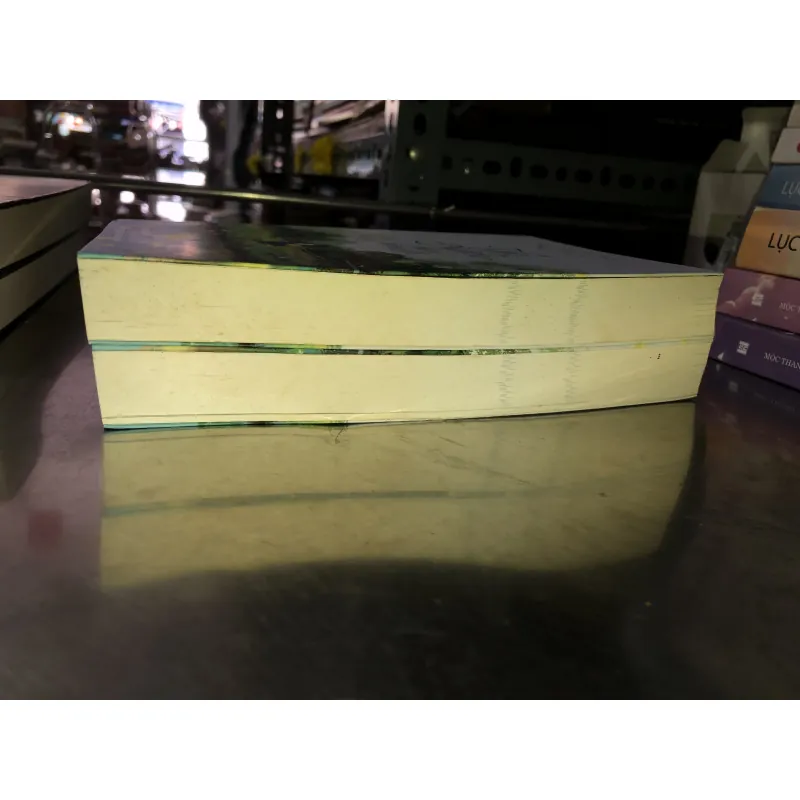 Gió nam hiểu lòng tôi - Ngô Đồng Tư Ngữ 975118