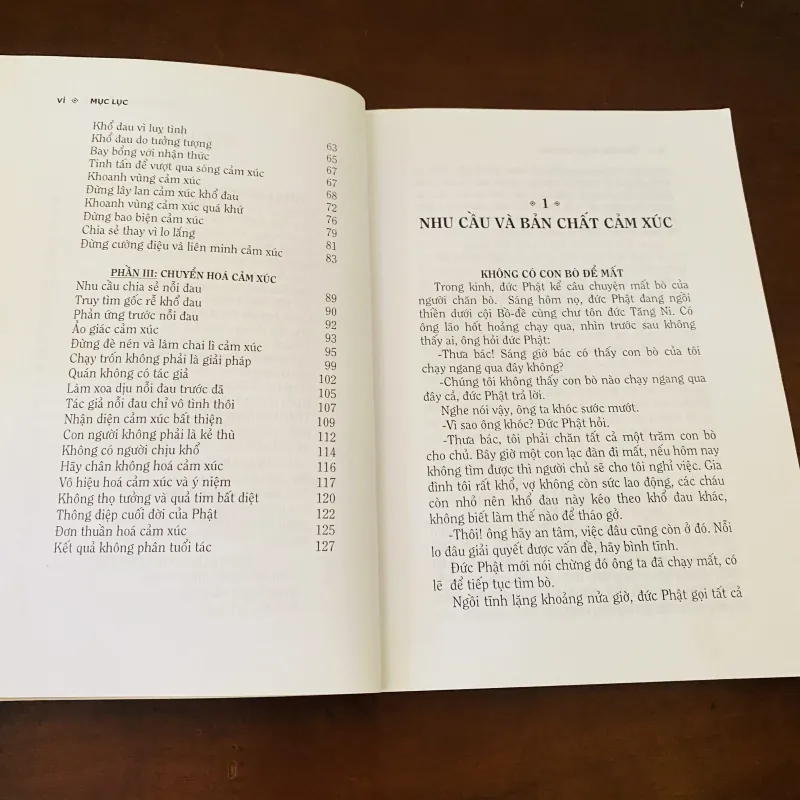 Chuyển hoá cảm xúc  975921