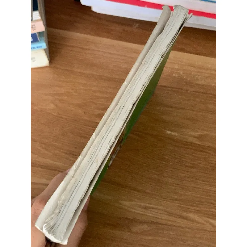 Các món ăn dân dã từ gạo nếp – Tứ Trang, Nguyễn Thị Phụng 561298