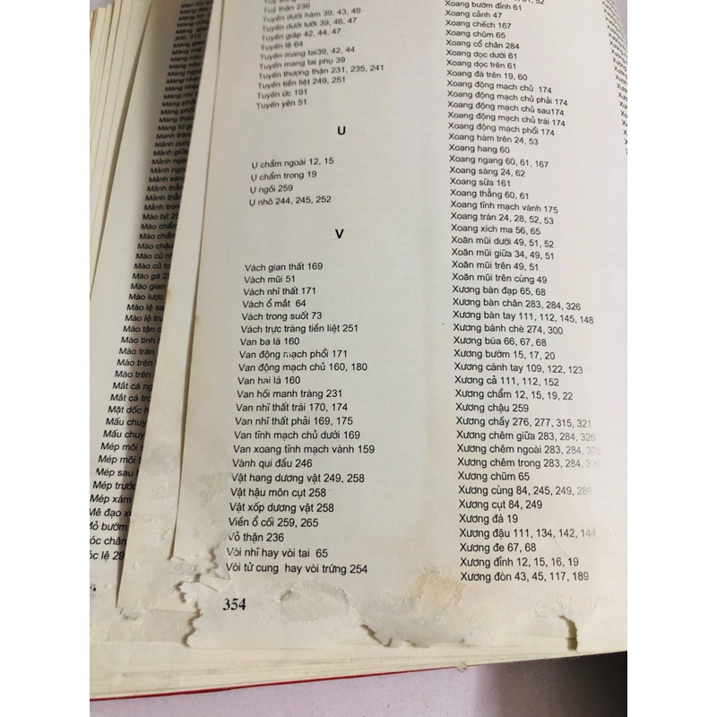  ATLAS GIẢI PHẪU NGƯỜI 520066