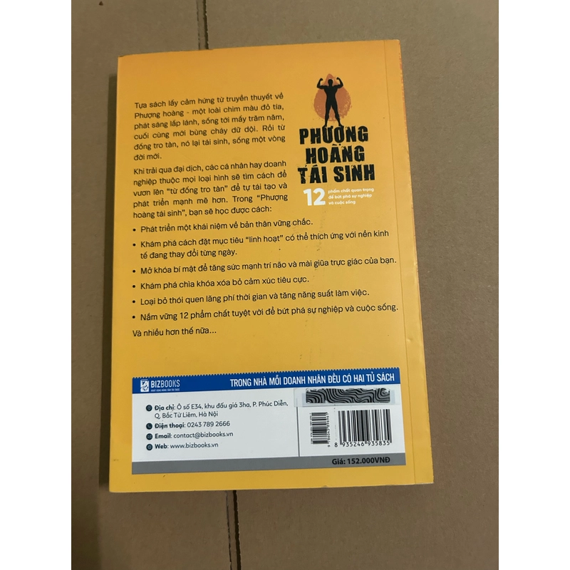 Phượng hoàng tái sinh 507442
