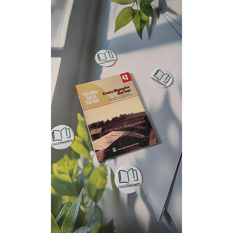 Theo Dòng Lịch Sử Việt Nam - Triều Nguyễn Đại Bại 43 - Lý Thái Thuận 970239