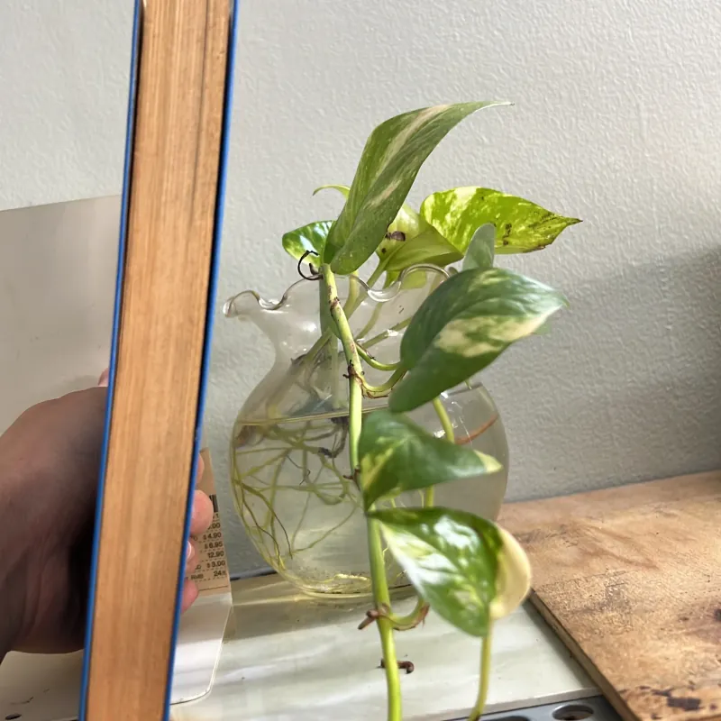 Người chơi facebook khôn ngoan biết rằng 751827