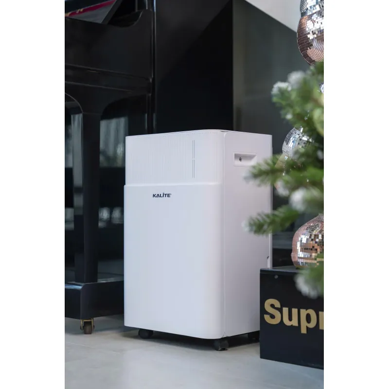 🏠 DrySense-A6 giữ phòng luôn khô thoáng 730611