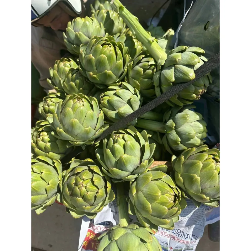 Bông Atiso loại 1 1009247