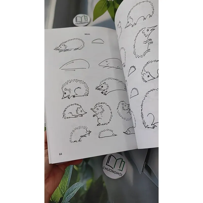 Phương pháp vẽ đơn giản động vật 1018809