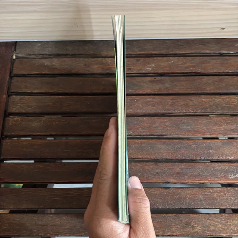 II Cây Cảnh: Xương Rồng Và Cây Mọng Nước (Sách Màu) - Dương Ngọc Hiệp 718585