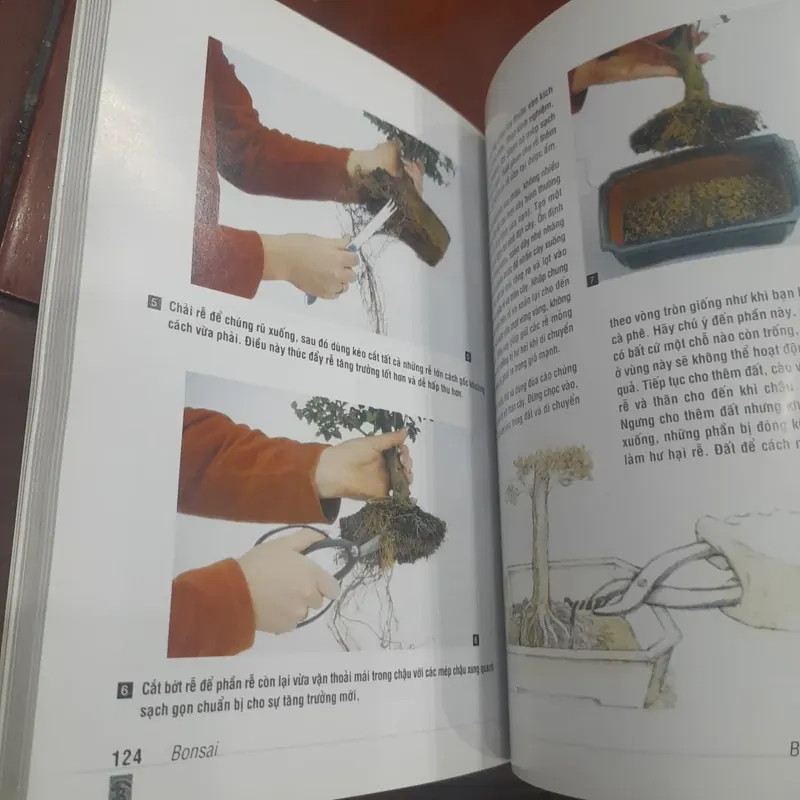 DAVID PRESCOTT - Cẩm nang BON SAI 731233