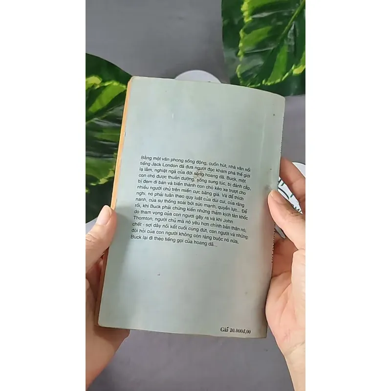 Tiếng Gọi Nơi Hoang Dã (1996) - Jack London 604594