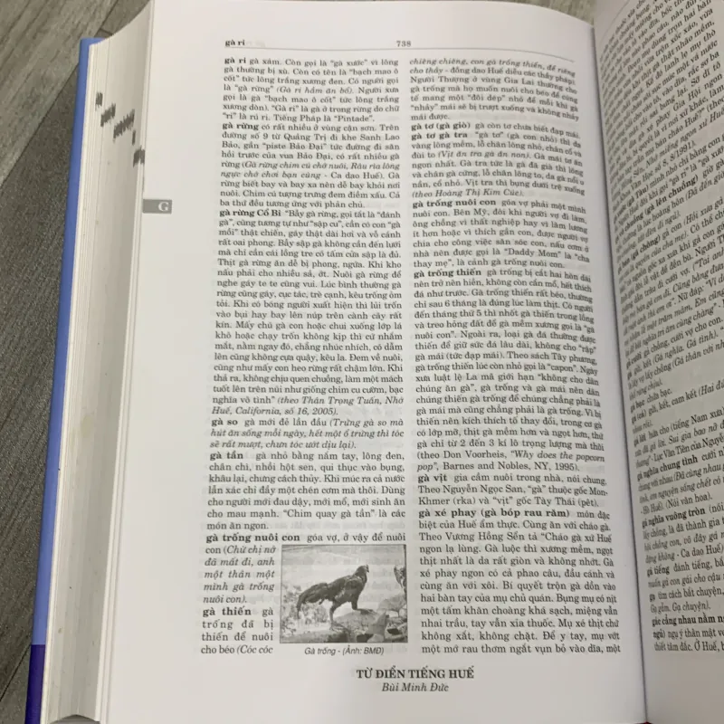 Từ điển tiếng huế - bùi minh đức. Bộ 2 tập có hộp.  755372