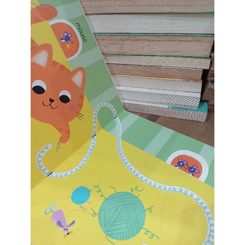 Touch, feel and follow the trails: Animals 800440