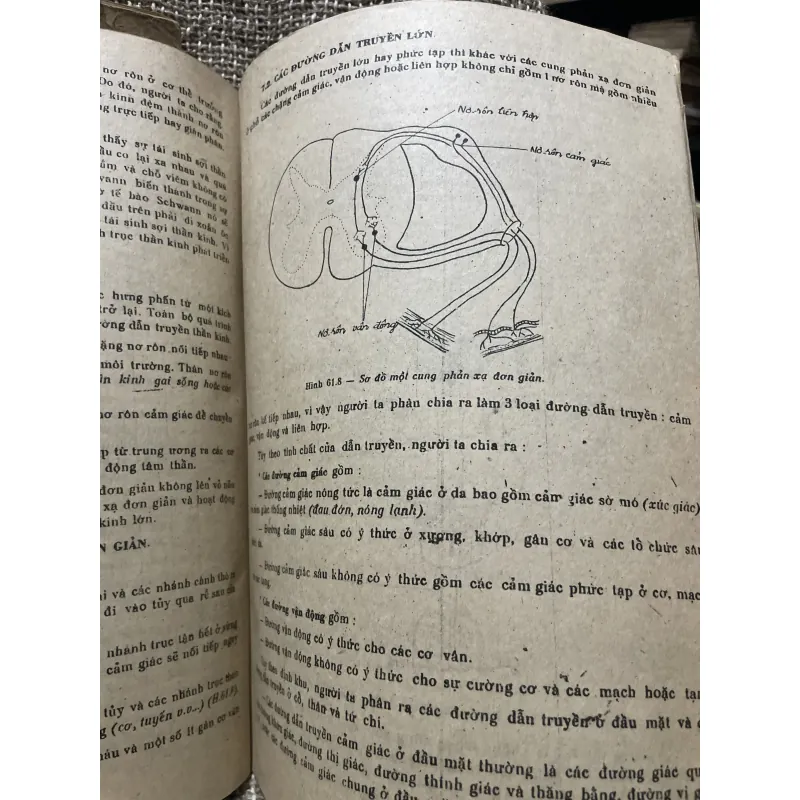 Bài giảng giải phẫu bệnh học - 2 tập, sách dày hơn 800 trang khổ lớn  1009096