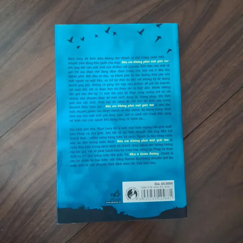 Nếu em không phải một giấc mơ 732743