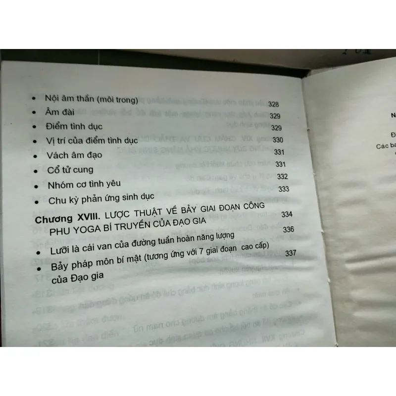 Phu thê song luyện khí công 996571