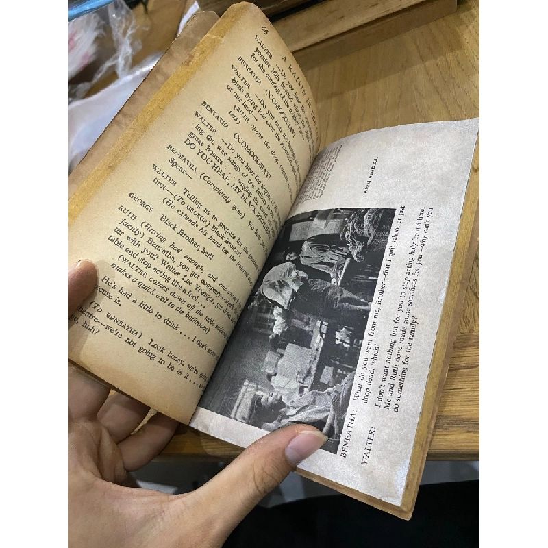 A Raisin in the Sun - Lorraine Hansberry 528009