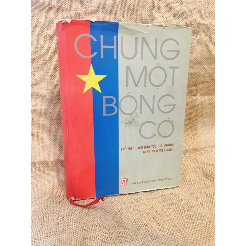 Chung một bóng cờ 1005113