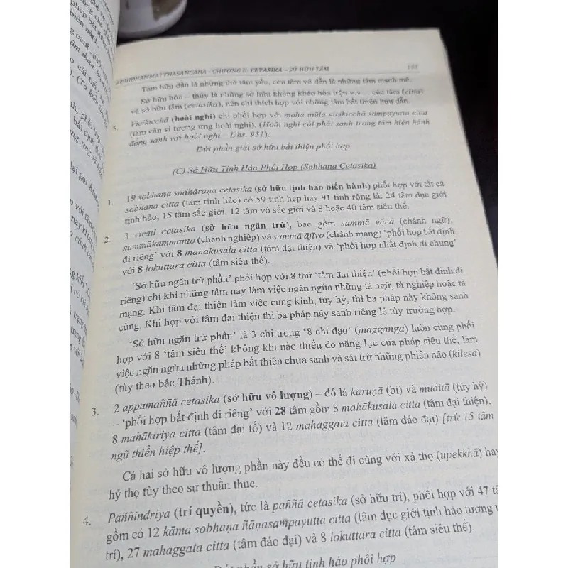 Vô tỷ pháp tập yếu - Thera Santakicco 698241