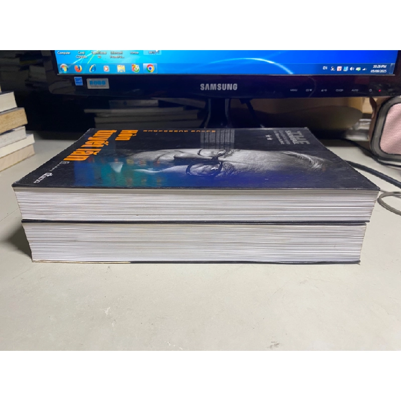 Hòn Tuyết Lăn (bộ 2 tập bìa mềm)- Tác giả :Alice Schroeder- NXB Trẻ- DTbooks phát hành, năm 2010- 446350