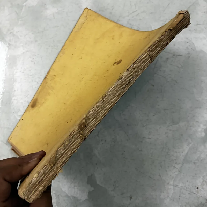 Sinh hoá học hiện đại theo sơ đồ - 1987s 1013285