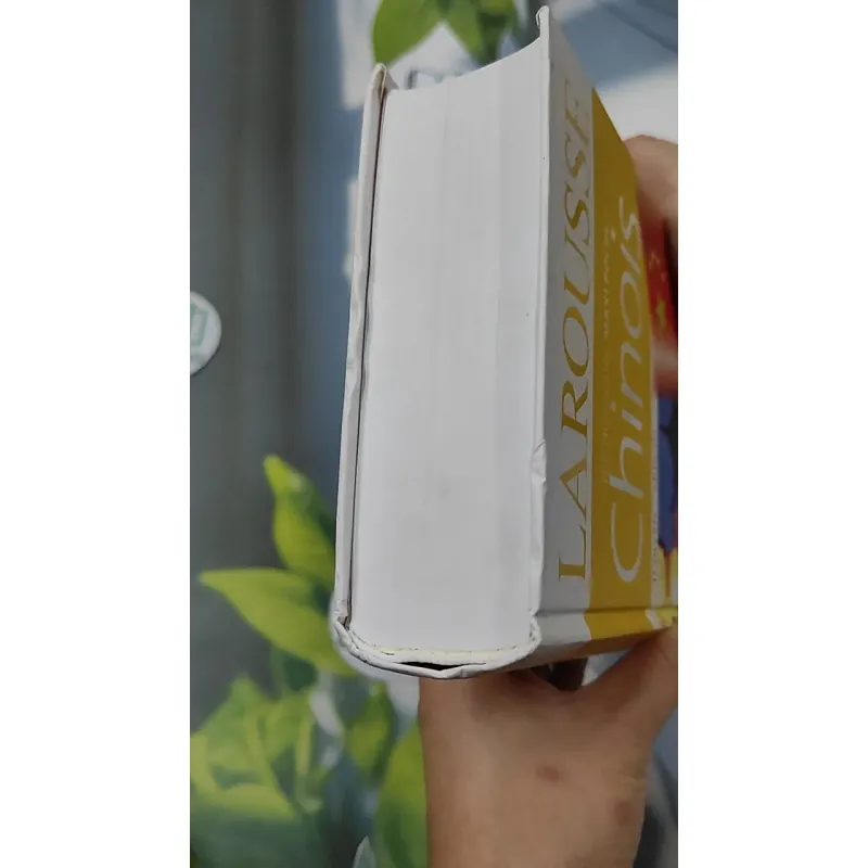[MIỄN PHÍ BỌC SÁCH] Larousse Poche Plus Chinois 749592