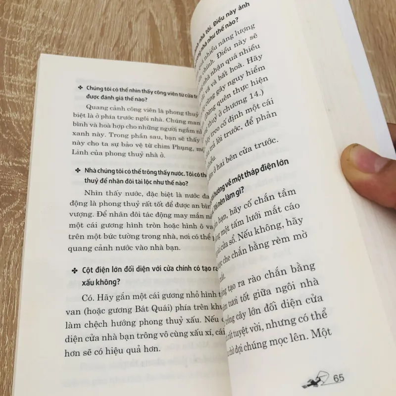 Phong thủy trong 5 phút – Selena Summers 931670